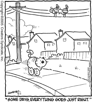 heathcliff